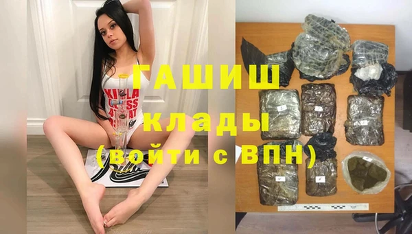 крисы Белокуриха