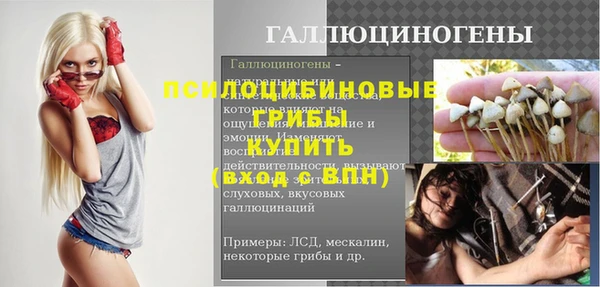крисы Белокуриха