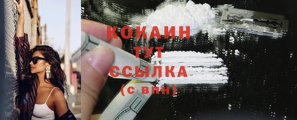 крисы Белокуриха