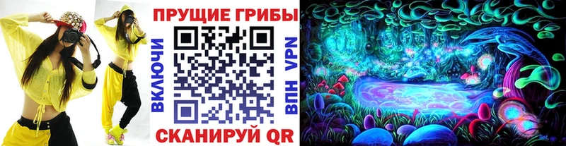 Псилоцибиновые грибы прущие грибы  наркошоп  Гусев 